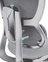 Healthy Chair Fit