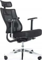 Falto X-Trans